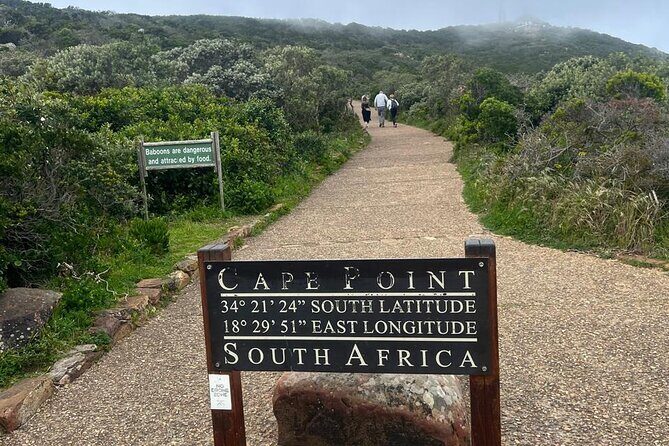 Full-Day Cape of Good Hope and Table Mountain with Penguins Tour - Introduction: Why This Tour Stands Out