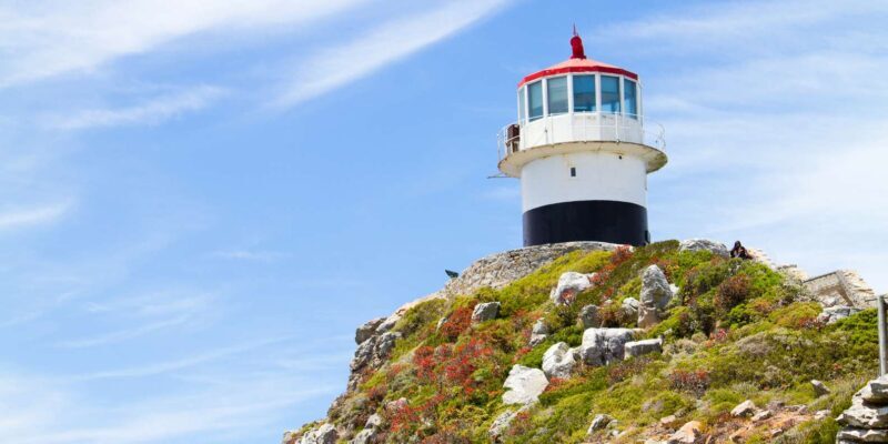 Full Day Cape Peninsula Tour - Key Points