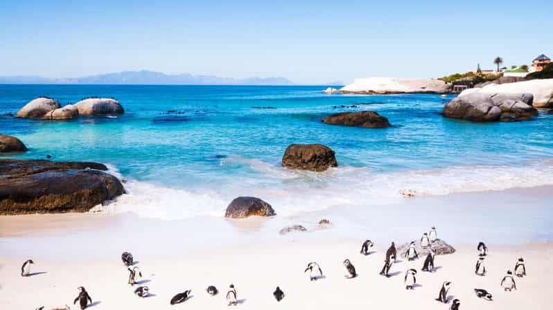 Full Day Cape Peninsula Tour - Exploring the Itinerary in Detail