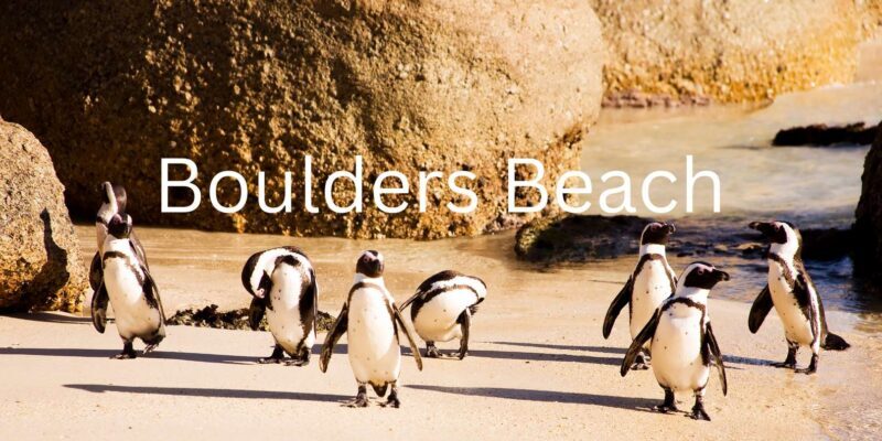 Full Day Cape Peninsula Tour - FAQs