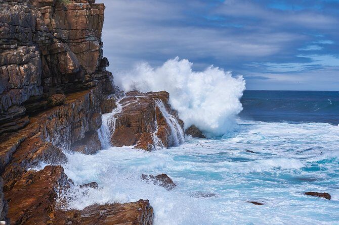 Full Day Cape Peninsula Tour in Private Car - An In-Depth Look at the Tour