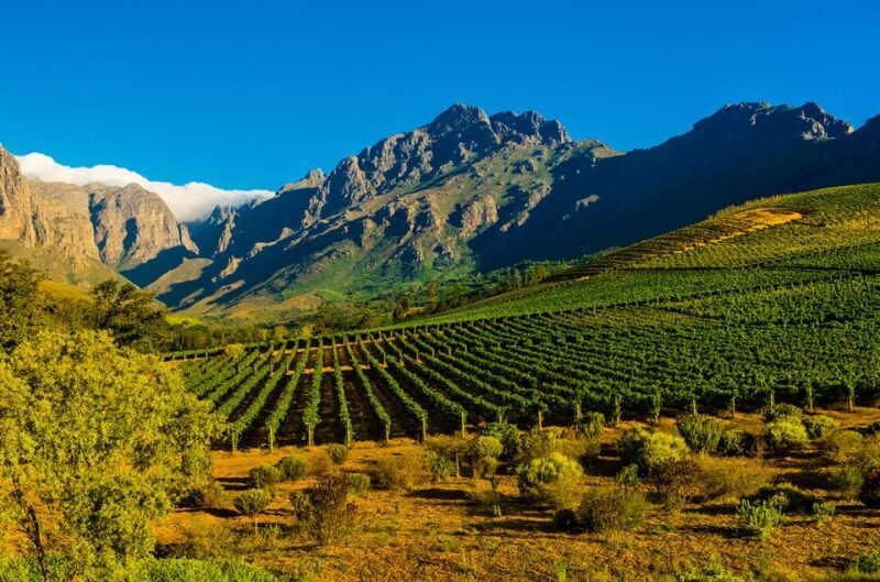Full-Day Cape Winelands Tour - Who Will Enjoy This Tour?