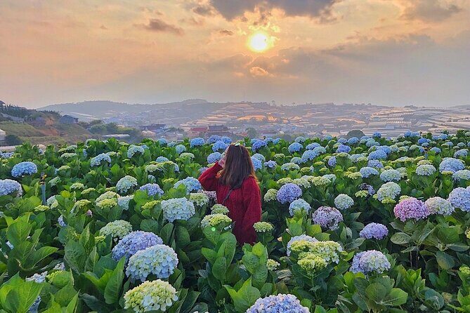 Full Day Car Tour Excursion Dalat ( Minimum 4 guest) - Key Points