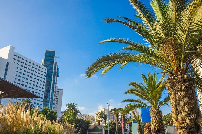 Full Day Casablanca Rabat City Tour with Hassan II Mosque Ticket - Authentic Experiences and Practical Tips