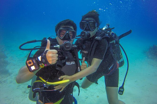 Full-Day Catalina Island Scuba Diving Tour from Punta Cana - An Extended Look at What to Expect