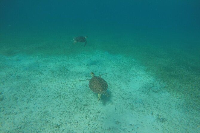 Full Day Charter from Fajardo to Culebra - Who Will Love This Tour?