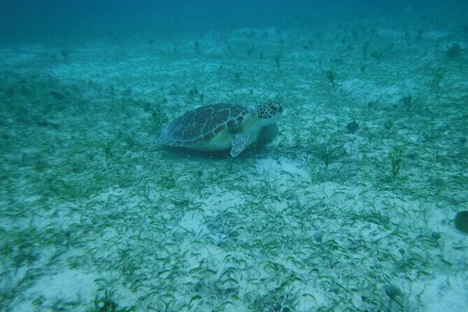 Full Day Charter from Fajardo to Culebra - FAQ