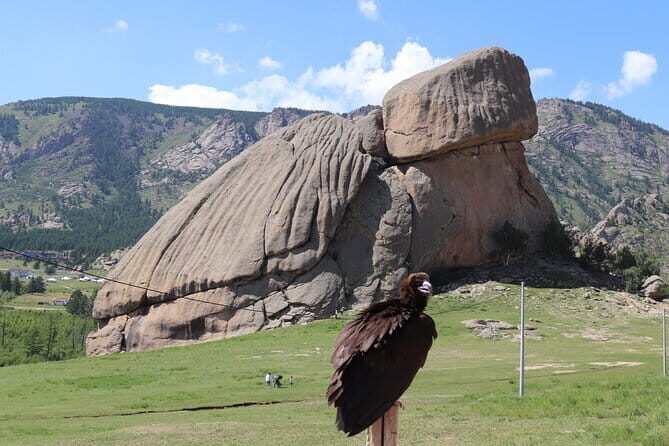 Full Day Chinggis Khaan Statue & Terelj NP Tour +Horseride, Eagle - Who Should Consider This Tour?