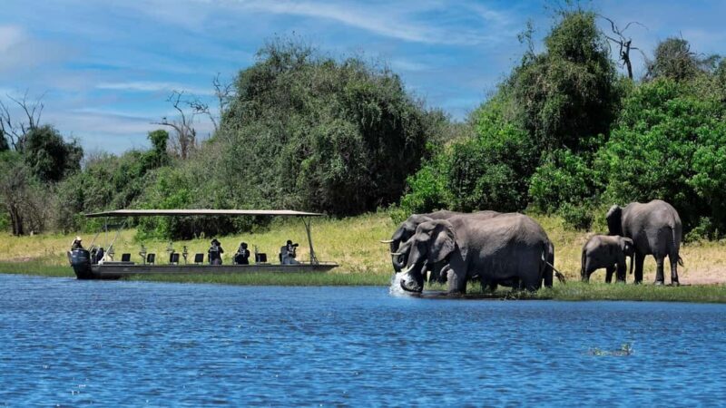 Full Day Chobe Trip From Livingstone Town Zambia - Why This Tour Works for Most Travelers