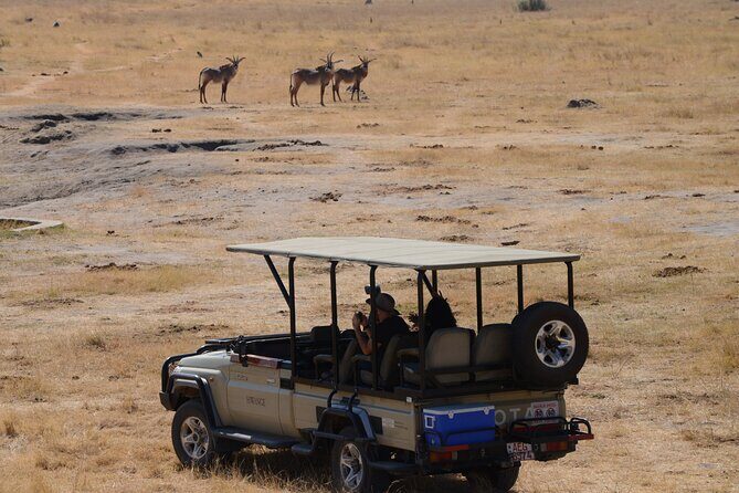 Full Day Chobe Trip with Lunch - Connecting the Dots: What the Reviews Say