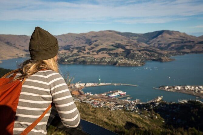 Full-day Christchurch Highlights Tour - What we love and what to consider