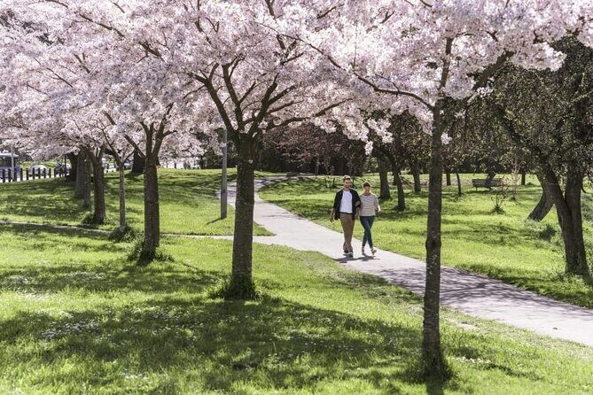 Full-day Christchurch Highlights Tour - FAQ