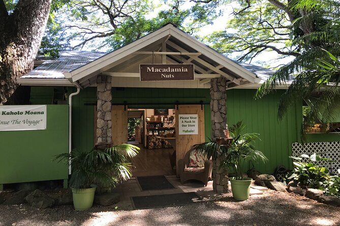 Full-Day Circle Island Guided Tour of Oahu - North Shore: Surfer Paradise and Snorkeling