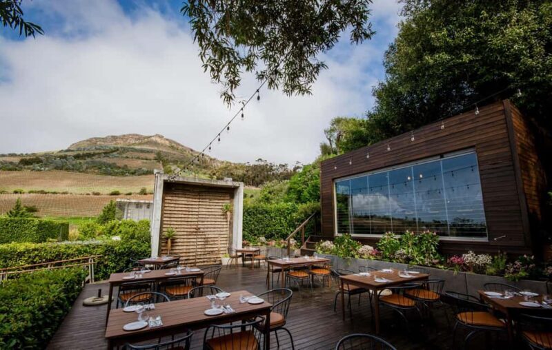Full Day Constantia Wine Tasting and Table Mountain - Key Points