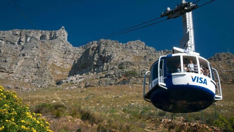 Full Day Constantia Wine Tasting and Table Mountain - Final Thoughts