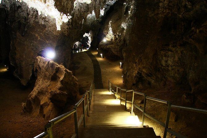 Full-Day Cradle of Humankind Guided Tour from Johannesburg or Pretoria - An Introduction to the Tour Experience