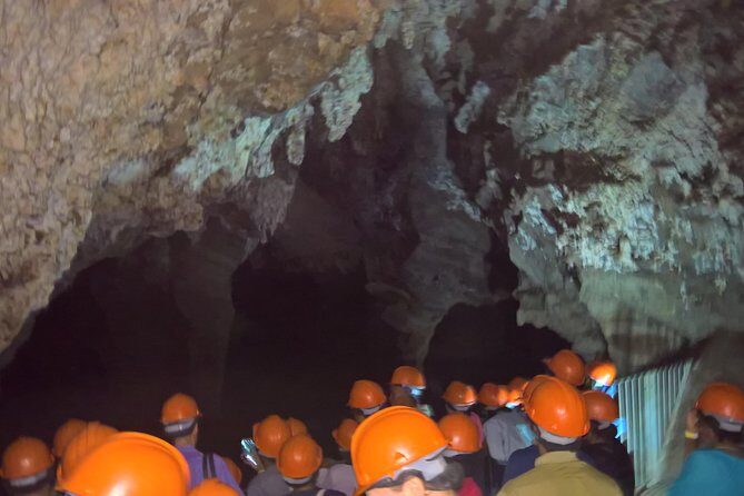 Full-Day Cradle of Humankind Guided Tour from Johannesburg or Pretoria - The Experience: What Travelers Say