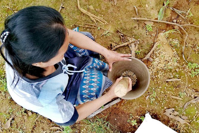 Full Day Crossing the Bolaven Plateau - What to Expect from the Full-Day Crossing the Bolaven Plateau Tour
