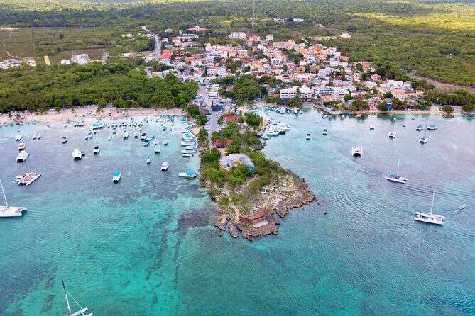 Full-Day Cruise of Isla Saona from Santo Domingo with Lunch - An Overview of What You Can Expect