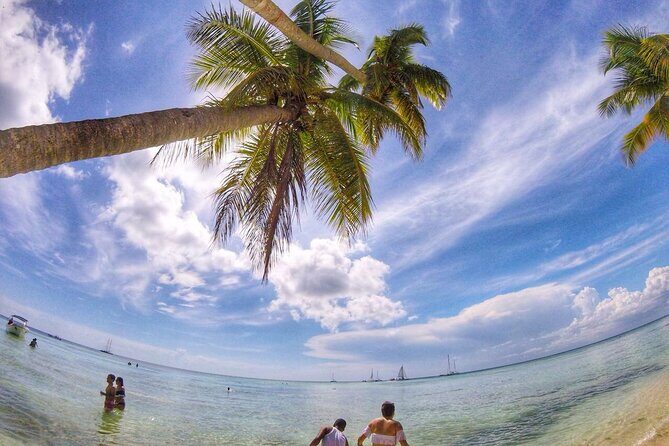 Full-Day Cruise of Isla Saona from Santo Domingo with Lunch - Who Should Consider This Tour?