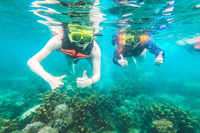 Full-Day Cruise of Koh Nang Yuan and Koh Tao From Koh Samui - Key Points