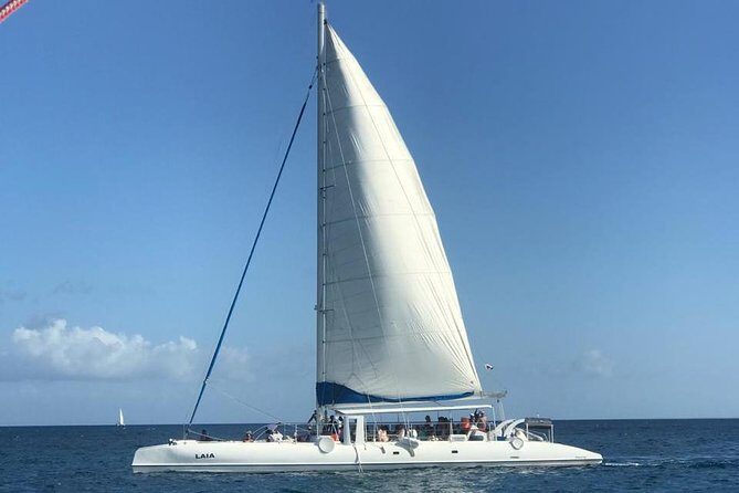 Full-Day Cruise to Saona Island - Natural Pool and Lunch - Exploring Saona Island