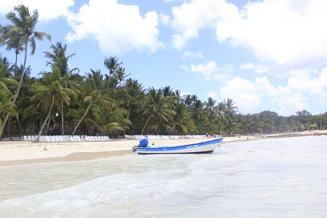 Full-Day Cruise to Saona Island - Natural pool and lunch - Who Should Consider This Tour?