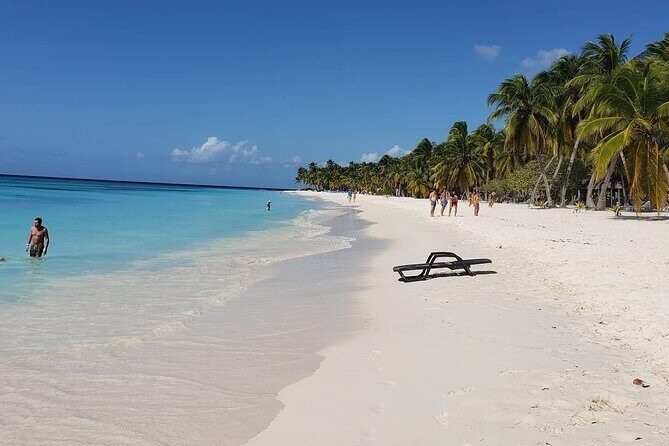 Full-Day Cruise to Saona Island - Natural Pool and Lunch - An Honest Look at the Tour Experience