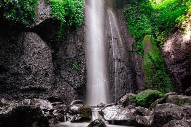 Full Day Cultural Bogor Adventure in Waterfall and Rice field - Who Would Enjoy This Tour?