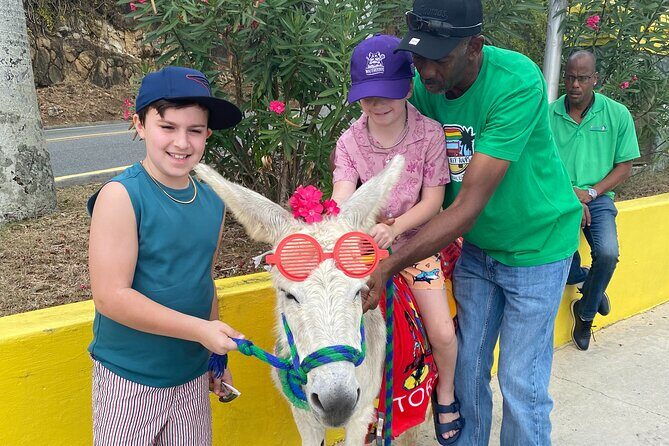 Full Day Cultural Jeep Beach Tour, St. Thomas & Water Island - The Practical Side: Price, Duration, and Group Size