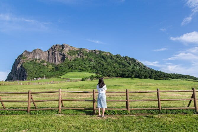 Full-day Customizable Private Jeju Island Tour - Comprehensive Review of the Full-day Customizable Private Jeju Island Tour