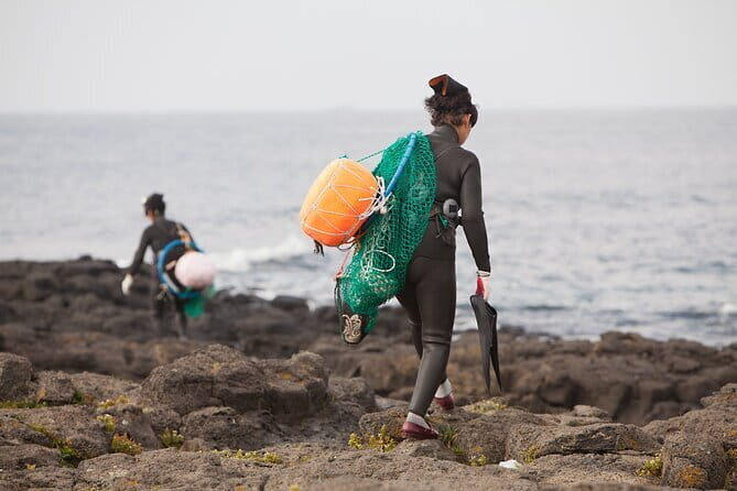 Full-day Customizable Private Jeju Island Tour - The Sum Up