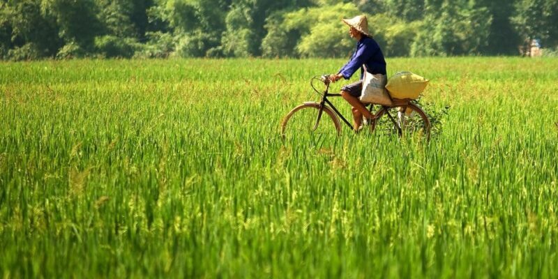 Full-Day Cycling & Handcraft Workshop in Mai Chau Valley - Why This Tour Offers Good Value
