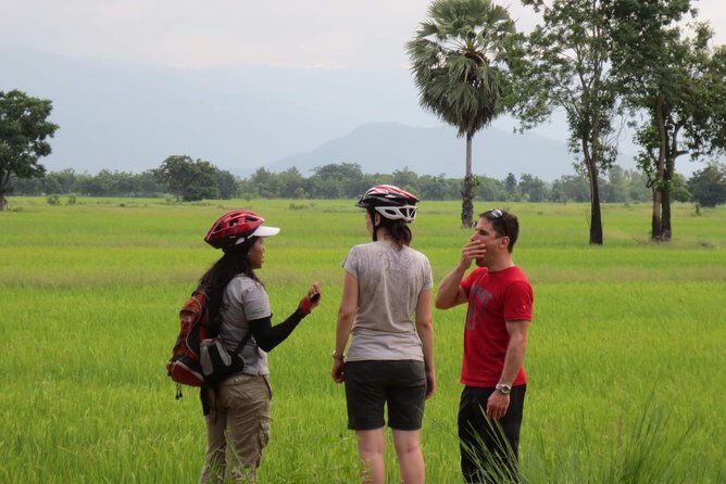 Full Day Cycling tour to Sukhothai Historical Park - Final Thoughts: Who Should Consider This Tour?