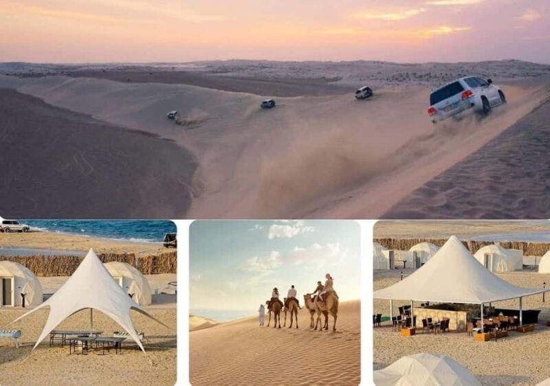 Full Day Desert Safari, Camp Access, Buffet Dinner, Camel - The Transportation and Group Size