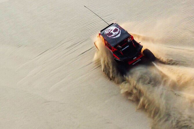 Full Day Desert Safari Doha/dinner included - Key Points