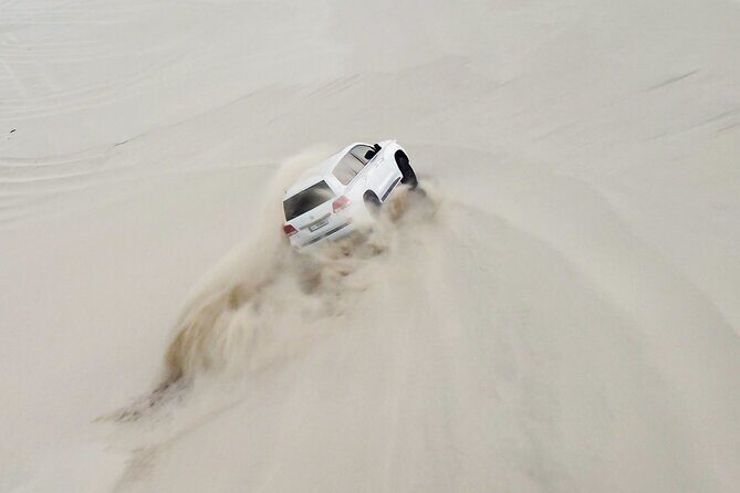 Full Day Desert Safari Doha/dinner included - Making the Most of Your Experience
