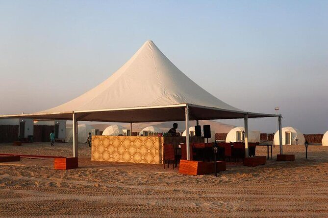 Full Day Desert Safari with Camp Access, Buffet Dinner,Camel Ride - Who Should Consider This Tour?