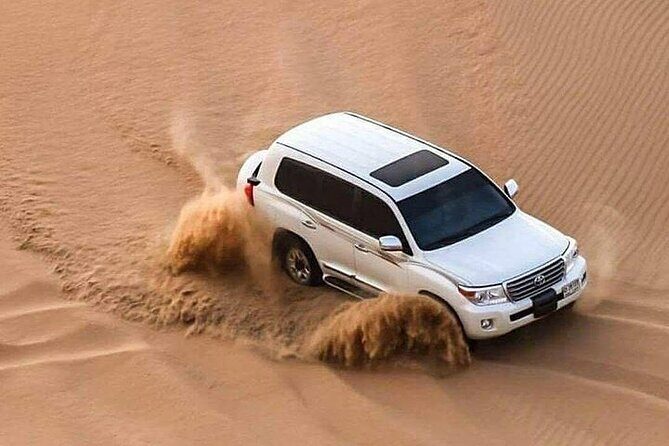 Full Day Desert Safari with Camp Access, Buffet Dinner,Camel Ride - FAQ