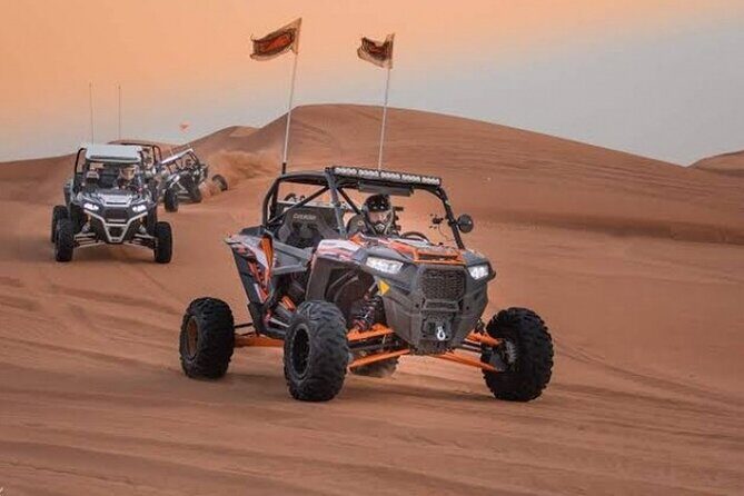Full-Day Desert Safari with Dune Buggy Ride in Dubai - An In-Depth Look at the Full-Day Dubai Desert Safari