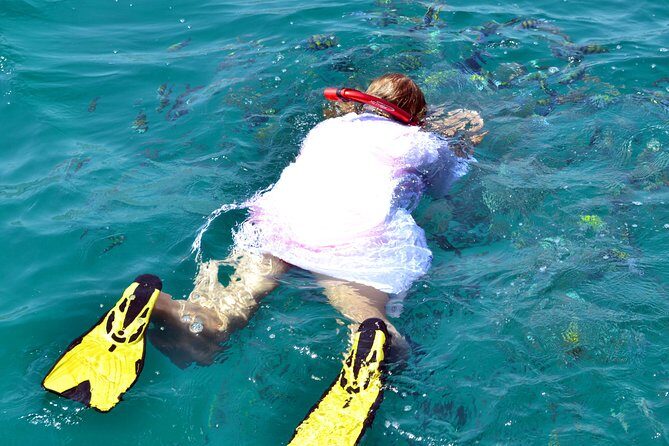 Full Day Dhow Cruise to Khor Sham with lunch & Snorkeling (Shore excursions) - The Itinerary in Detail: What to Expect from Start to Finish