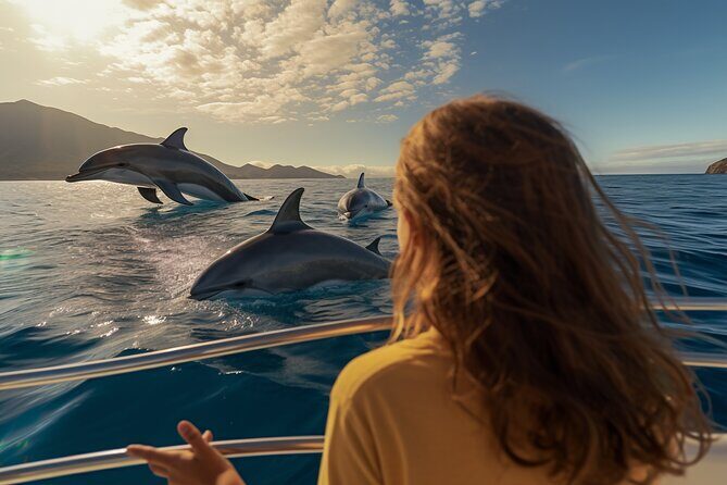 Full day Dhow: Khasab, Musandam: Dolphins, Snorkeling & Fjords - Key Points