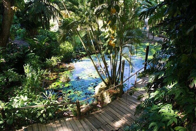 Full Day Discover Nadi Tour ( From Sigatoka Coral coast Hotels ) - Viseisei Village