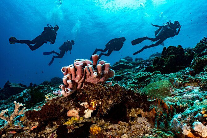 Full-Day Discover Scuba Diving Tour for Beginners in Tulamben - Final Thoughts: Is It Worth It?
