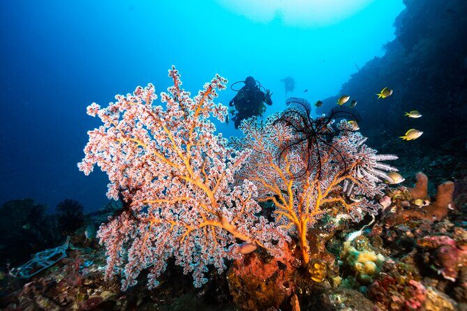 Full-Day Discover Scuba Diving Tour for Beginners in Tulamben - FAQ - Your Questions Answered