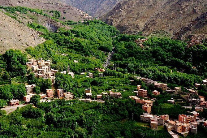 Full Day Discovery of Ouzoud Waterfalls from Marrakech - The Itinerary in Detail