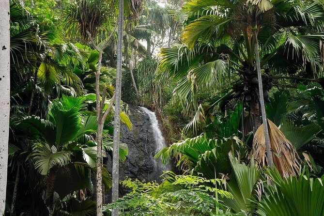 Full Day Discovery Tour of Vallee de Mai and Anse Lazio on Praslin Island - Who Will Love This Tour?