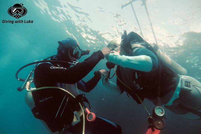 Full day diving with private guide, lunch drinks transportation - A Practical Review of the Full Day Diving Tour with Luka in Hurghada