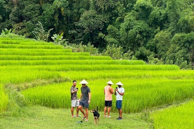 Full-Day Doi Inthanon National Park Tour with Trek and Pagodas - A Deep Dive into the Doi Inthanon Tour Experience