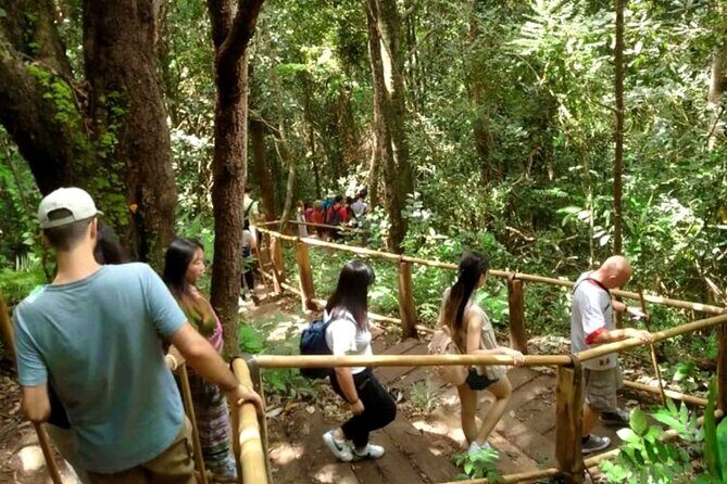Full-Day Doi Inthanon National Park Tour with Trek and Pagodas - Final Thoughts